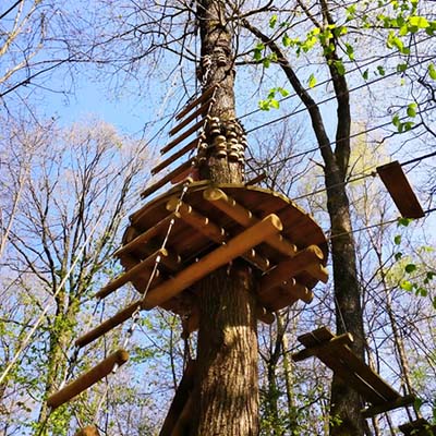 Bar à champagne dans les arbres, Perching Life